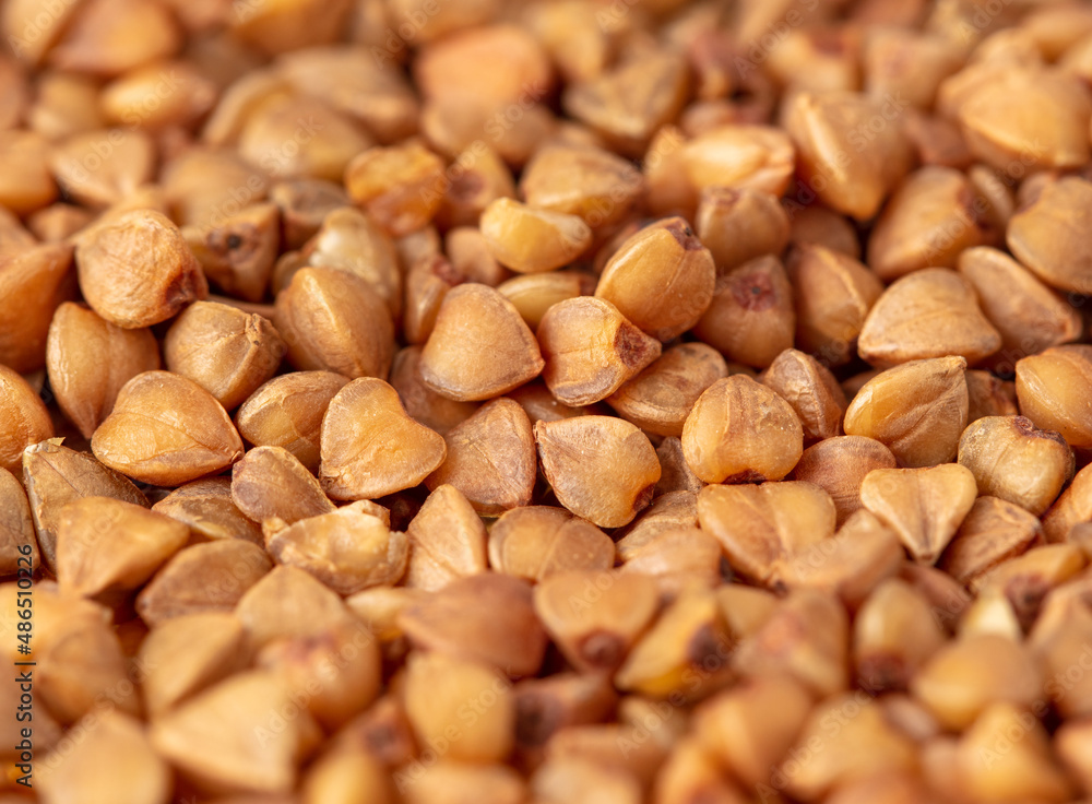 Close-up of buckwheat groats as background. Close-up of buckwheat groats as background.