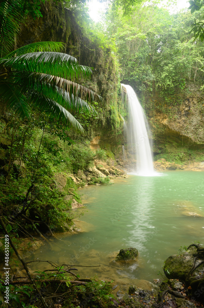 Obraz premium Mountain river and exotic landscape waterfall HD