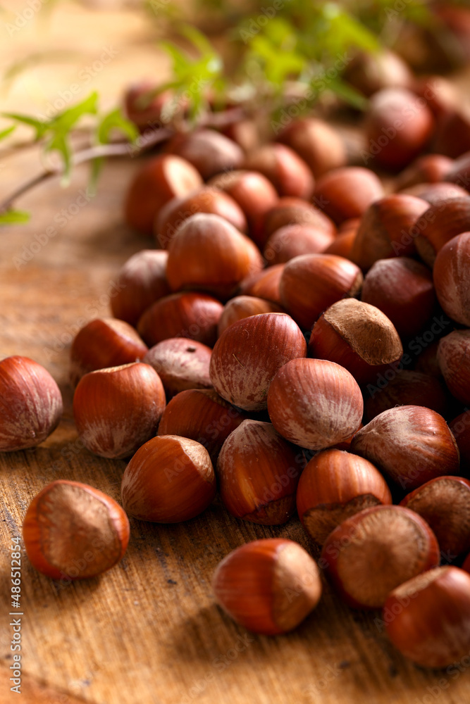 a hazelnuts nuts in shell on wooden board a hazelnuts nuts in shell on wooden board