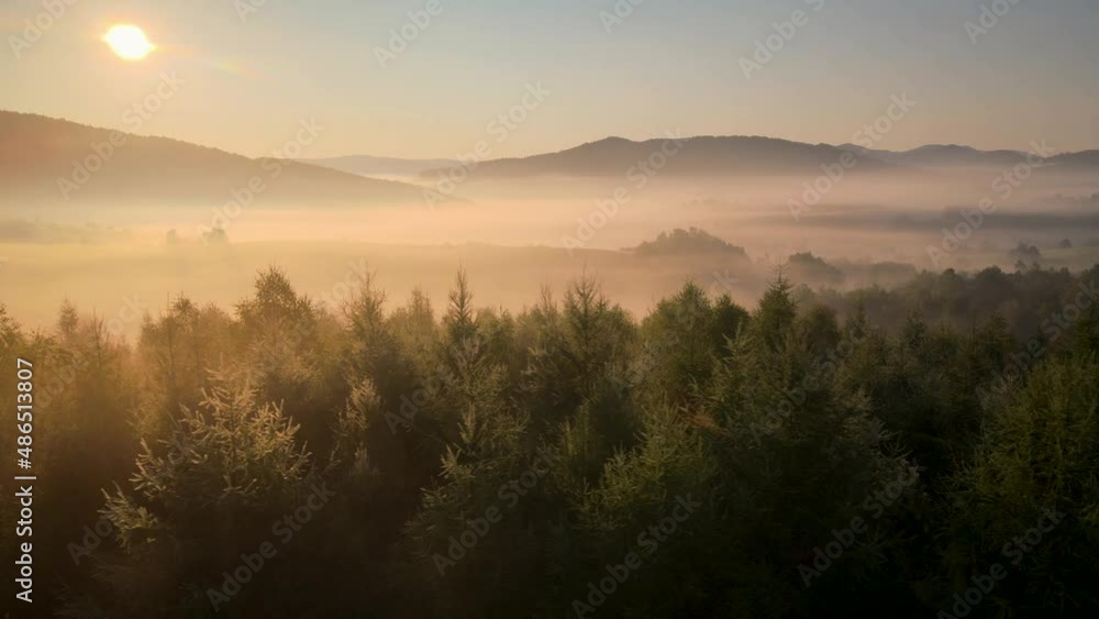 Aerial trucking shot of spruce trees on a misty morning Aerial trucking shot of spruce trees on a misty morning