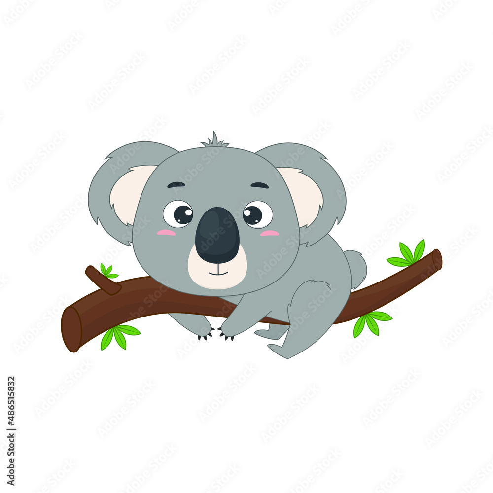 Fototapeta premium Australian cute koala on a eucalyptus branch. Koala on white backgriund. Vector illustration for designs, prints and patterns.