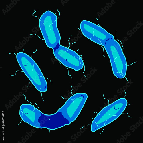 Group of Aquificales bacterias on black background, vector illustration
