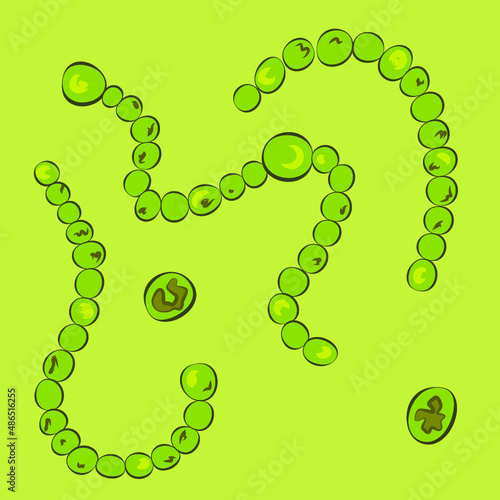 Group of Cyanobacteria on green background, vector illustration