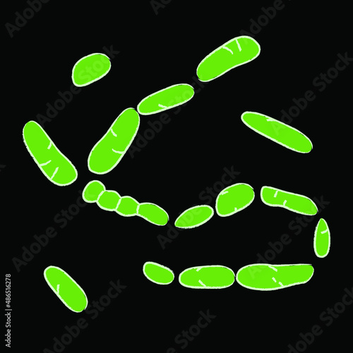 Group of Firmicutes bacterias on black background, vector illustration