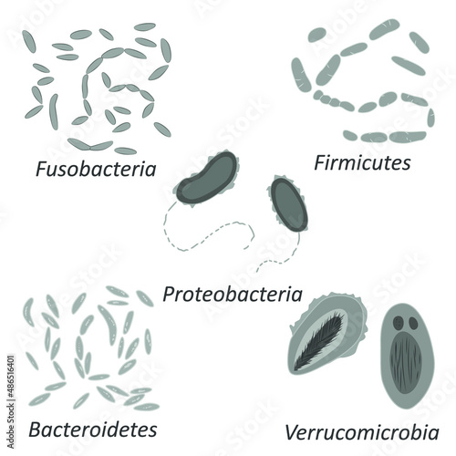 Set of different types of bacterias of human microbiome, black and white vector illustration