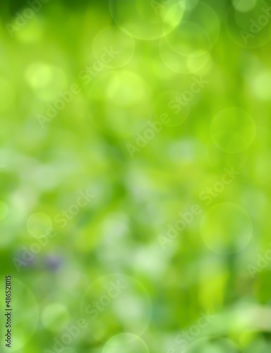 Spring background - abstrac...