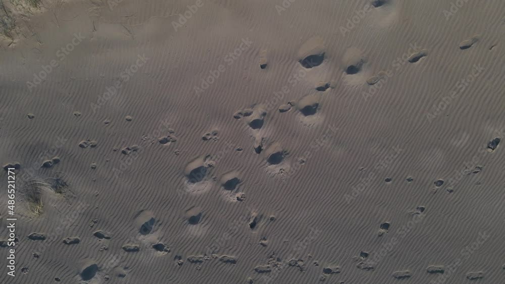 Footprints on sandy coastal beach, aerial top down ascend rotate shot