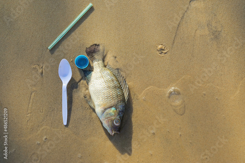 Sea pollution effect to marine life show dead fish with plastic spoon, straw and bottle cap.