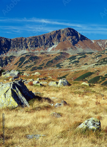 Five Polish Ponds Valley 