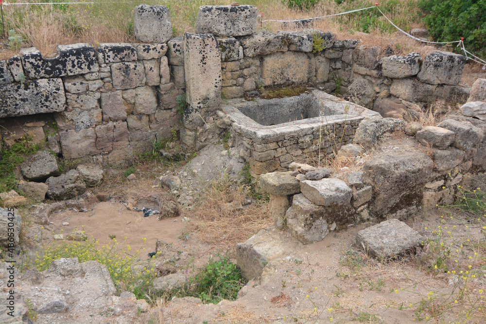 parco archologico di selinute in sicilia