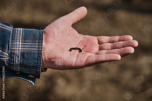 Earthworm in the palm of your hand. Man's hand. Plaid shirt sleeve. Background blur. © Алексей Игнатов