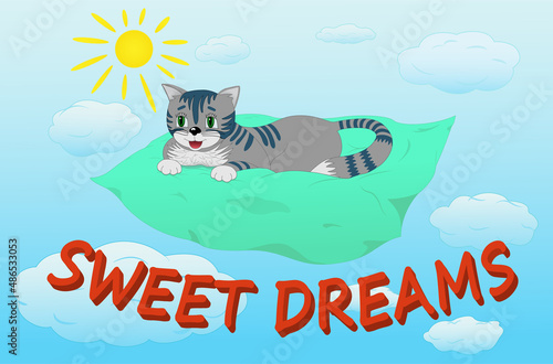 Cute kitten on pillow with sweet dreams