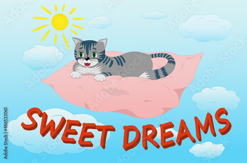 Cute kitten on pillow with sweet dreams