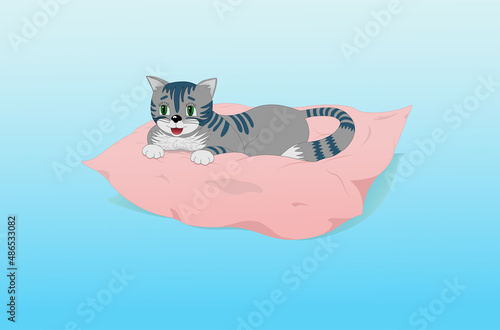 Cute kitten on pillow with sweet dreams