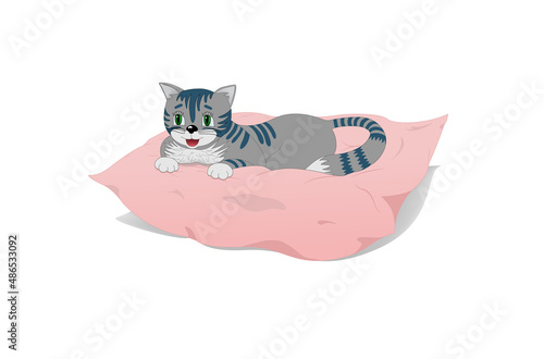 Cute kitten on pillow with sweet dreams