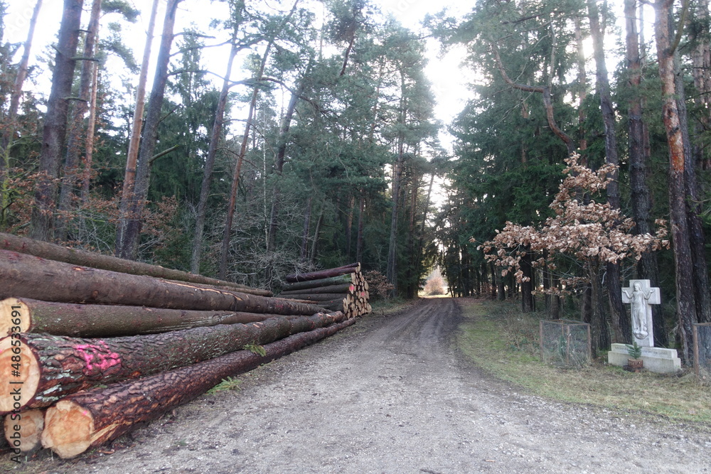 Schöne Landschaft in Donau-Ries