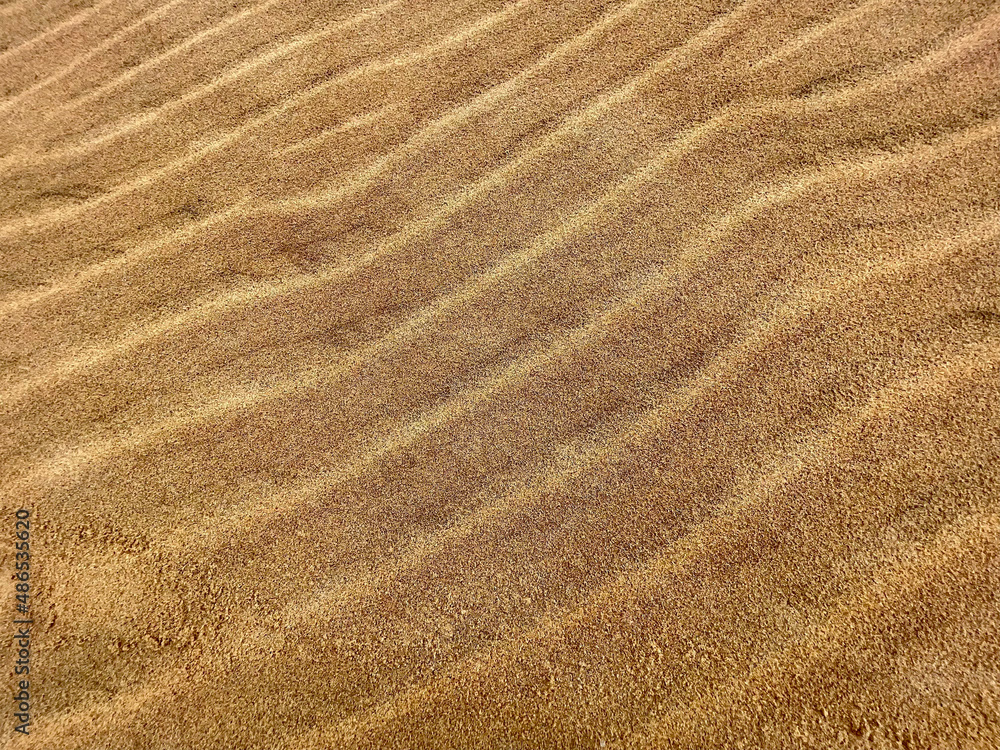 sand texture in the desert waves sand texture in the desert waves