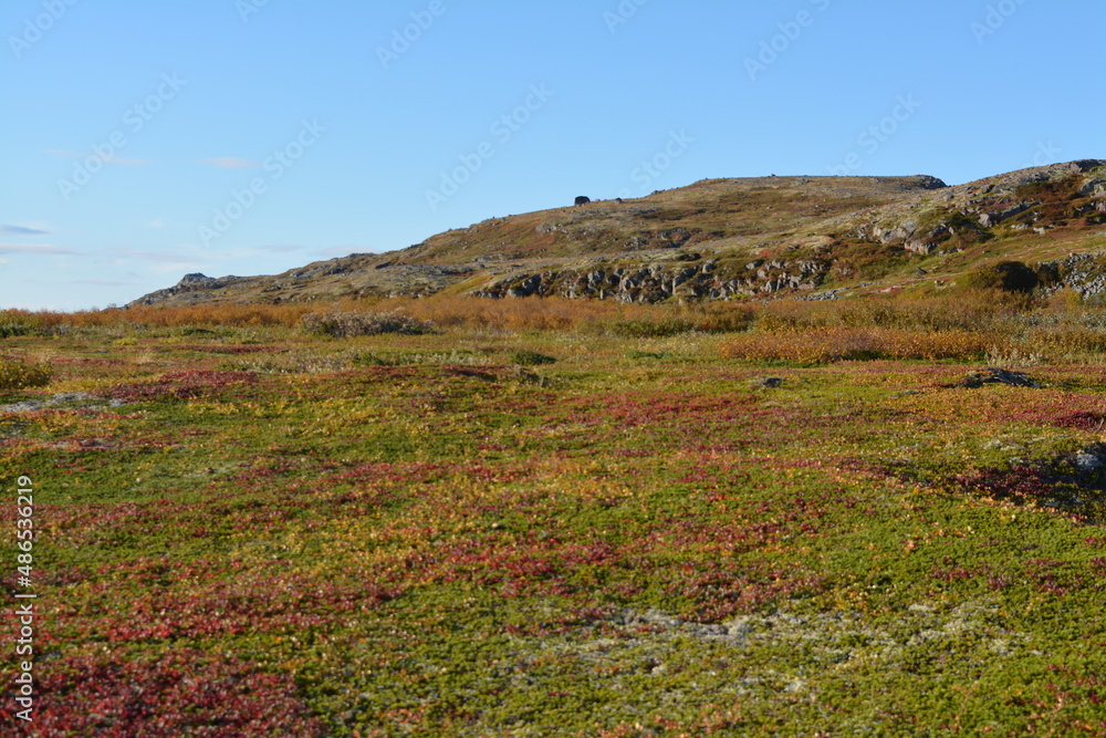 moss-covered hills and clear blue sky