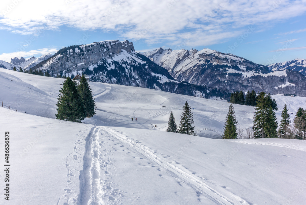 People ski touring in the mountains and forest above Bruelisau in the Swiss Alps