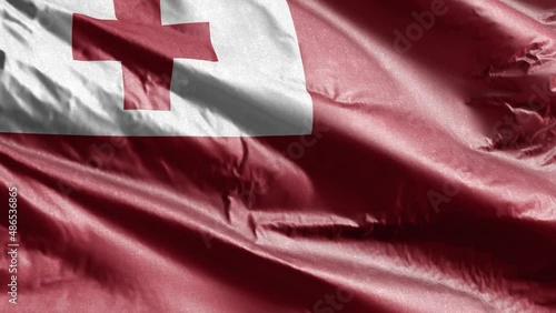 Tonga textile flag slow waving on the wind loop. Tonga banner smoothly swaying on the breeze. Fabric textile tissue. Full filling background. 20 seconds loop. photo