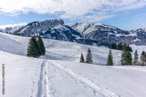 People ski touring in the mountains and forest above Bruelisau in the Swiss Alps © gdefilip