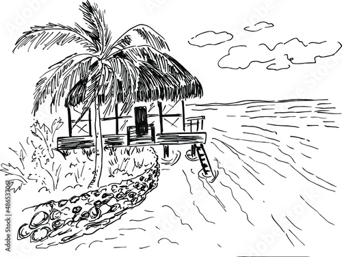 tropical island with palm trees