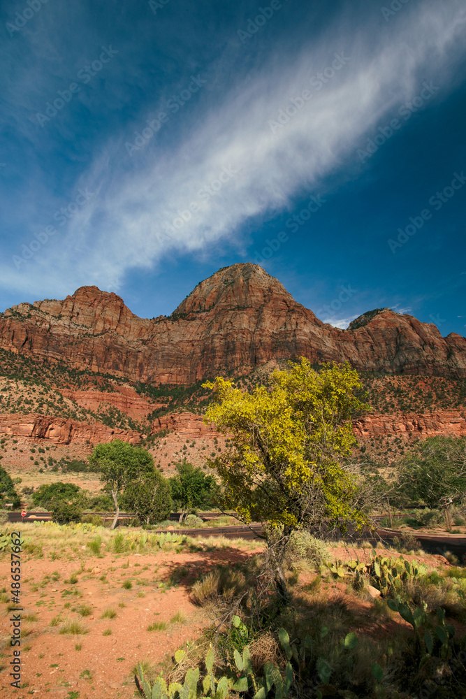 Naklejka premium Canyons