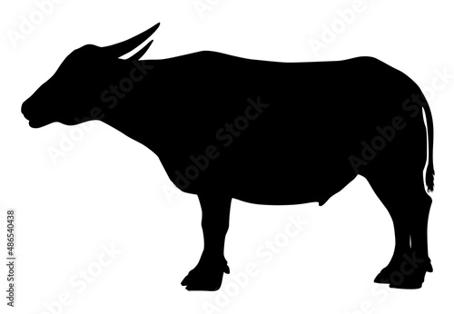 silhouette of a  buffalo