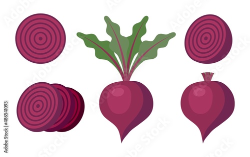 vector whole beet and slices