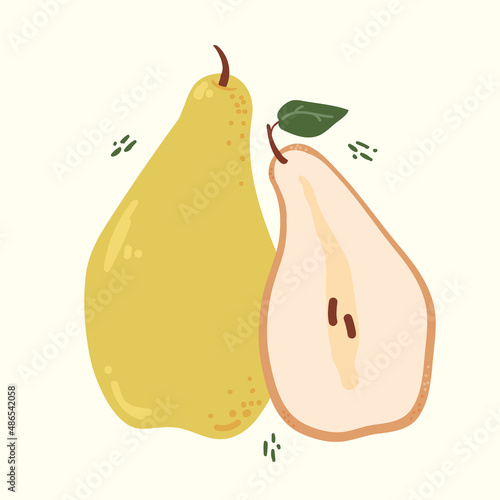 Modern pear in hand drawn style. Vector illustration