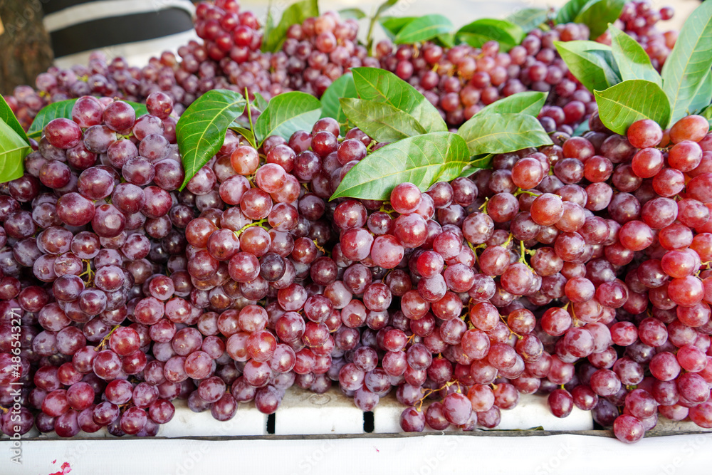 Sweet red grapes are sold in roadside fruit shops in Indonesia. This fruit is imported from abroad. This fruit has small seeds in it which when chewed are very bitter in taste. Sweet red grapes are sold in roadside fruit shops in Indonesia. This fruit is imported from abroad. This fruit has small seeds in it which when chewed are very bitter in taste.