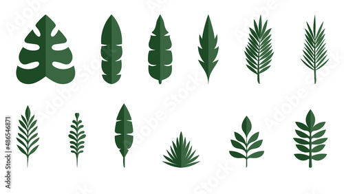 Set Tropical leaves. Monstera plant leaf  banana plants  and green tropical palm leaves. Jungle palms forest flora nature  Flat Modern design  isolated on white background  illustration Vector