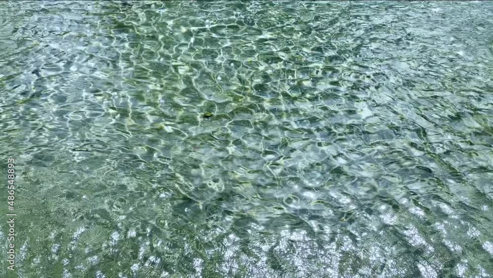Sparkling pool water Sparkling pool water