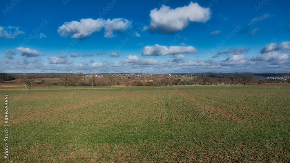 Ein mit Gras bewachsener Acker im Frühjahr mit blauem Himmel und einzelnen Wolken