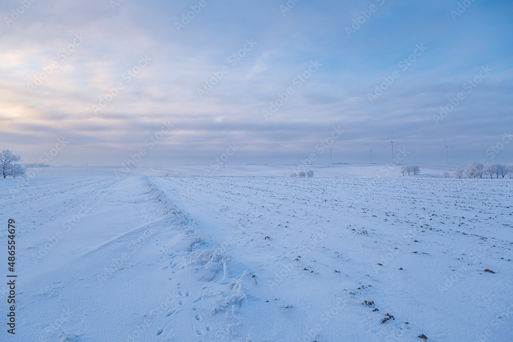 An icy field in the middle of nowhere