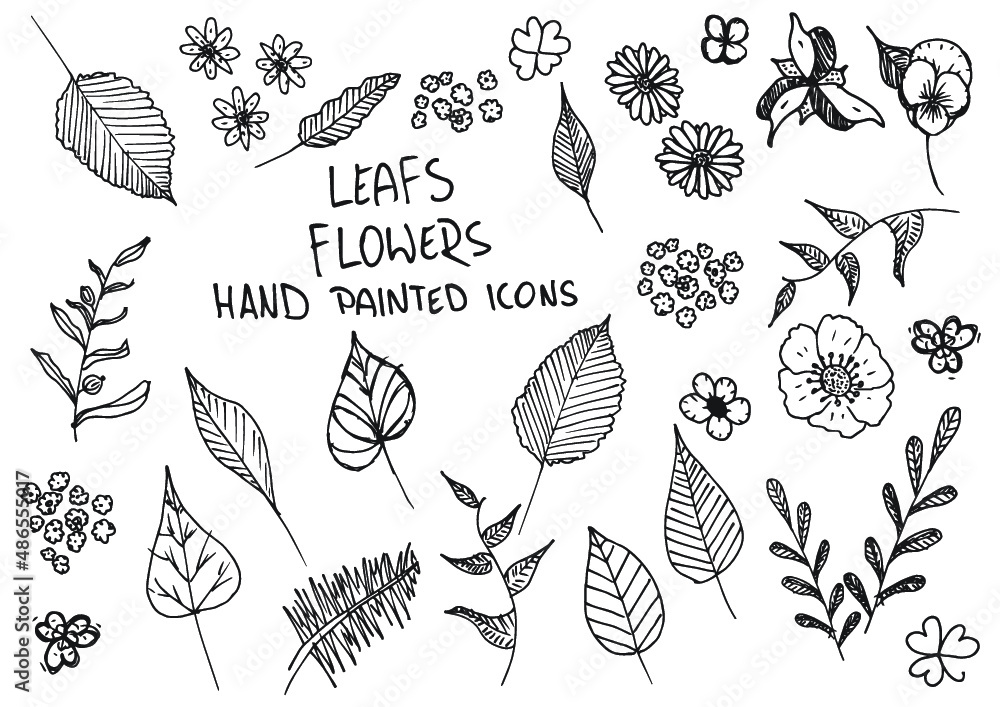 Leaf flowers hand painted doodles, icons. Twig, petal, clover. - obrazy, fototapety, plakaty 