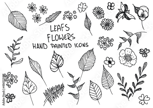 Leaf flowers hand painted doodles, icons. Twig, petal, clover.