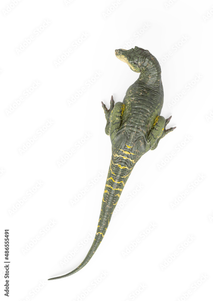 Fototapeta premium tyrannosaurus rex in white background top view