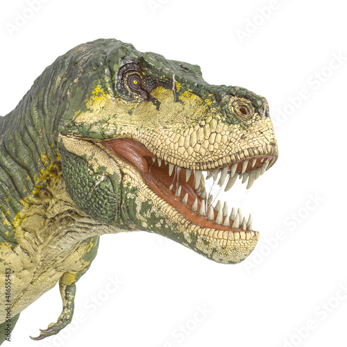 id portrait of a tyrannosaurus rex in white background