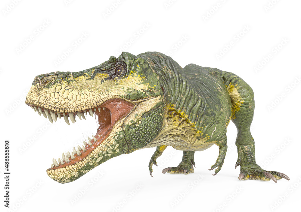 Obraz premium tyrannosaurus rex is looking to the side in white background