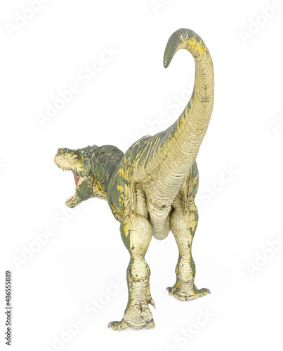 tyrannosaurus rex is walking like a king in white background rear view © DM7