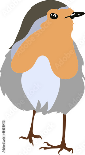 Oiseau Robin bird - Rouge Gorge pour illustration, dessin à la main en vecteur sur fond transparent. 