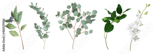 Mix of herbs and plants vector big collection. Cute rustic wedding greenery