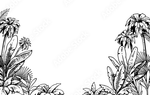Tropical grass and plant thickets. Frame with palms on the sides. Hand drawing outline. Sketch of exotic plants. Summer landscape. Isolated on white background. Vector