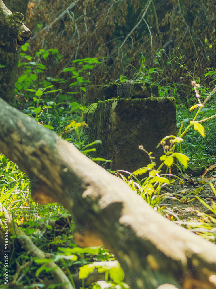 Fototapeta premium Forgotten cemetery in the Bieszczady Mountains