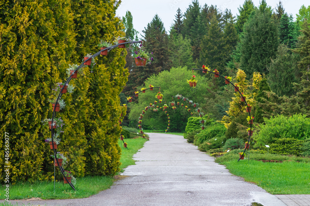 Alley in National Botanical Garden, Salaspils, Latvia, on rainy spring day