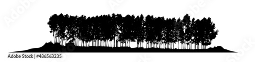sagoma alberi pioppi bosco boschetto foresta architettura simulazione render natura disegno  photo