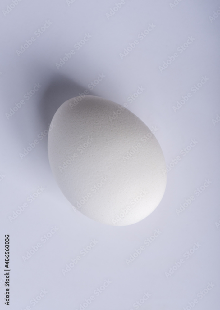 Light and shadow on the egg. Light from the blunt end of the egg. Light and shadow on the egg. Light from the blunt end of the egg.