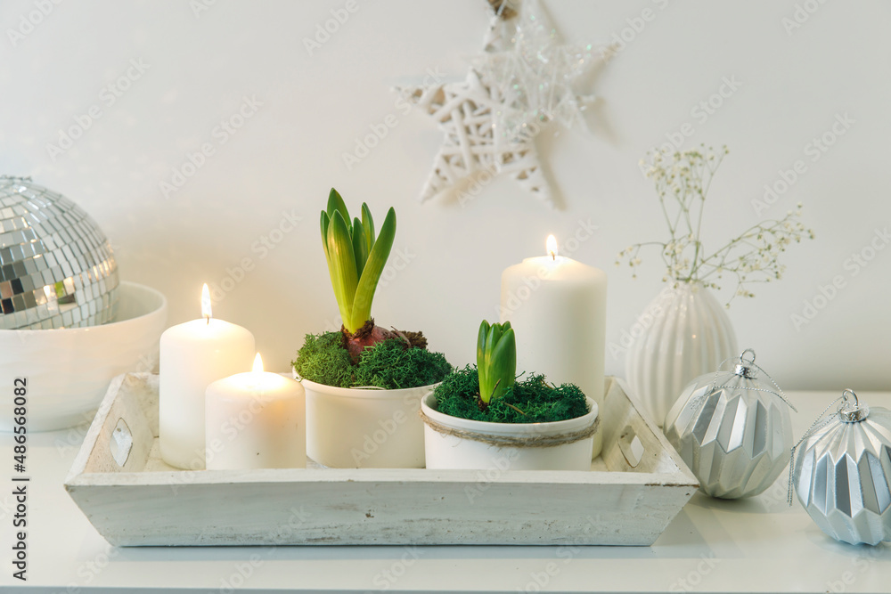 Unblown hyacinths with burning candles on a wooden vintage tray. Palm tree shadow on the wall. Home decoration for spring Unblown hyacinths with burning candles on a wooden vintage tray. Palm tree shadow on the wall. Home decoration for spring