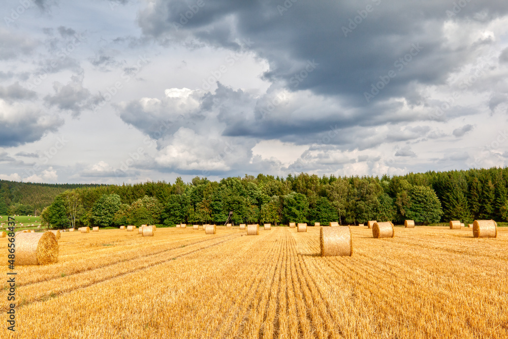 Fototapeta premium Feld mit Strohrollen im Harz